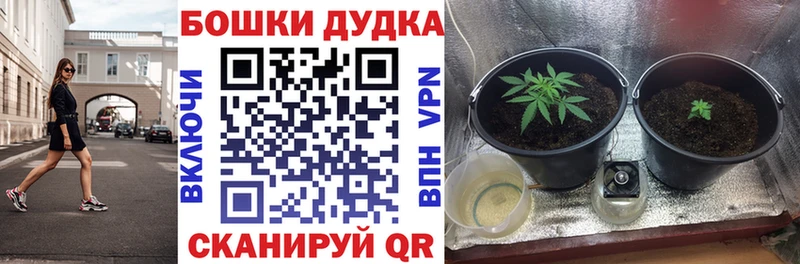 Все наркотики Пикалёво A PVP МАРИХУАНА Мефедрон Гашиш