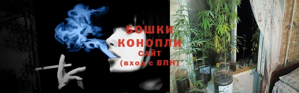 мдпв Нея