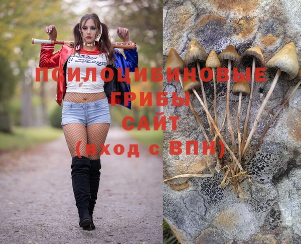 таблы Алексеевка
