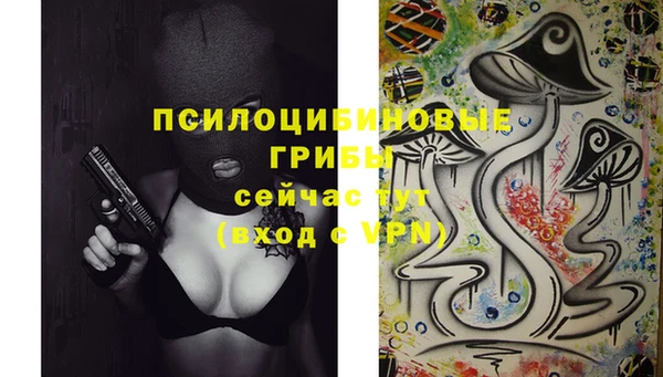 таблы Алексеевка