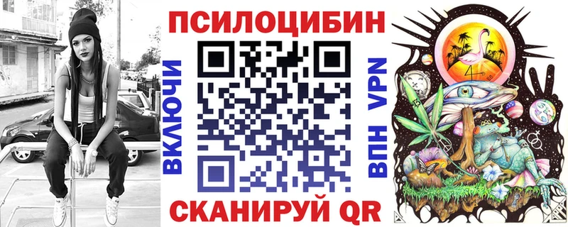 Галлюциногенные грибы Psilocybine cubensis  купить  цена  Пикалёво 